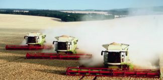 Pioneering the way for 100 years